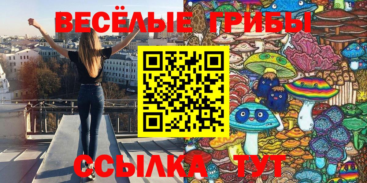 Псилоцибиновые грибы GOLDEN TEACHER  Вход с VPN  Галлюциногенные грибы мицелий  Новотроицк 